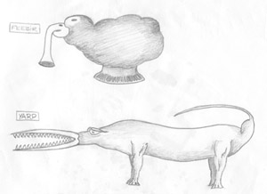 from the legendary clipper ship books