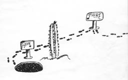 from the legendary clipper ship books